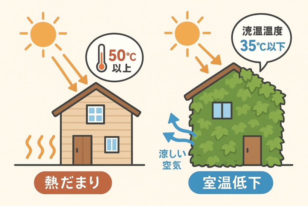 壁面緑化による暑さ対策